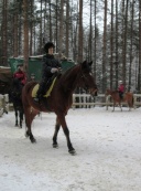 Solnechny ostrov 